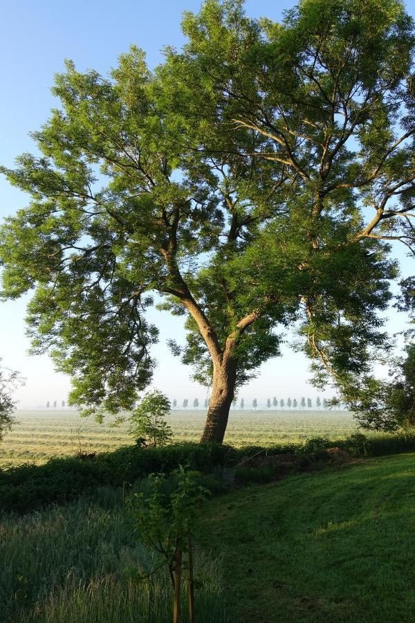 Ferienhaus Tante Elses - Ruhe & Erholung Zwischen Den Meeren - Gemuetliche & Stilvolle Ausstattung Vila Suderhoft Exterior foto