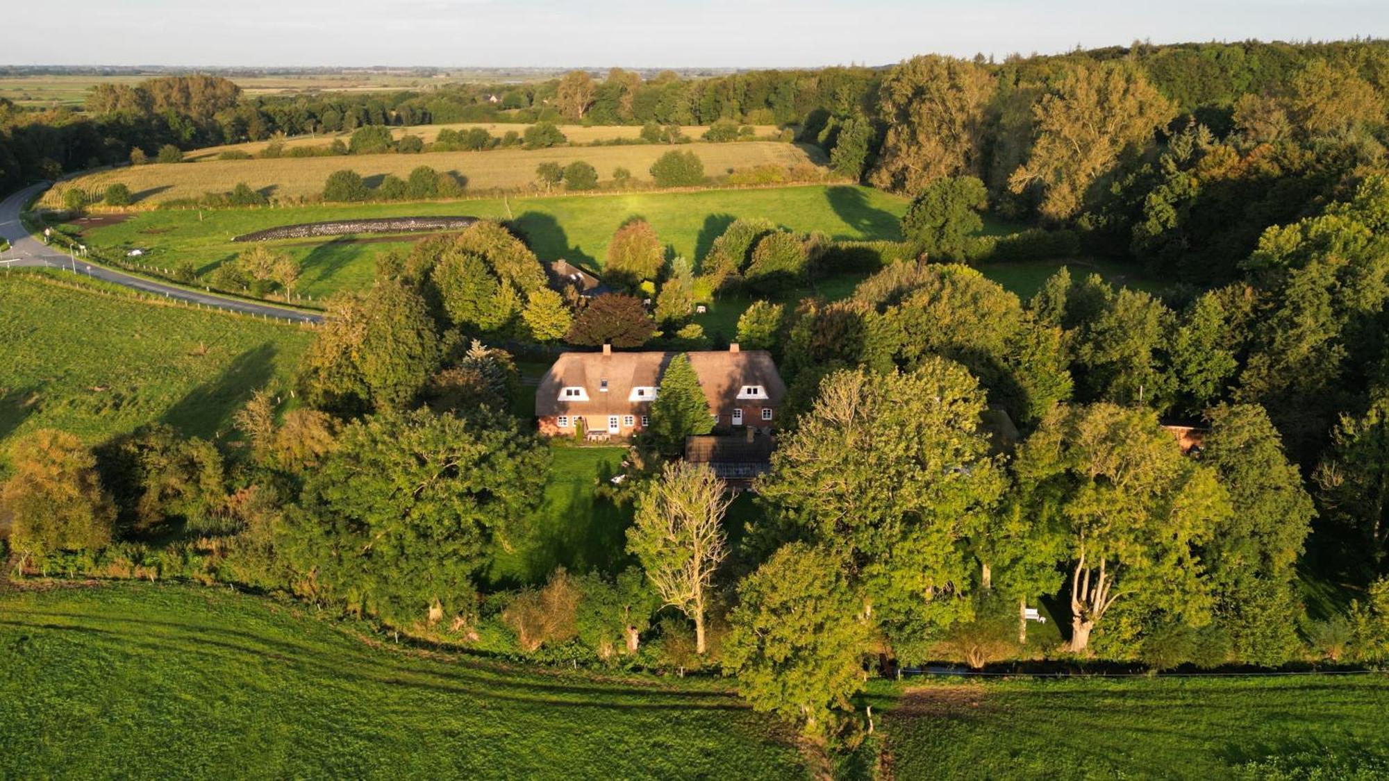 Ferienhaus Tante Elses - Ruhe & Erholung Zwischen Den Meeren - Gemuetliche & Stilvolle Ausstattung Vila Suderhoft Exterior foto